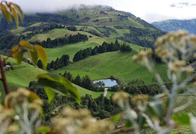 تختخواب و صبحانه El Cedro Soñado