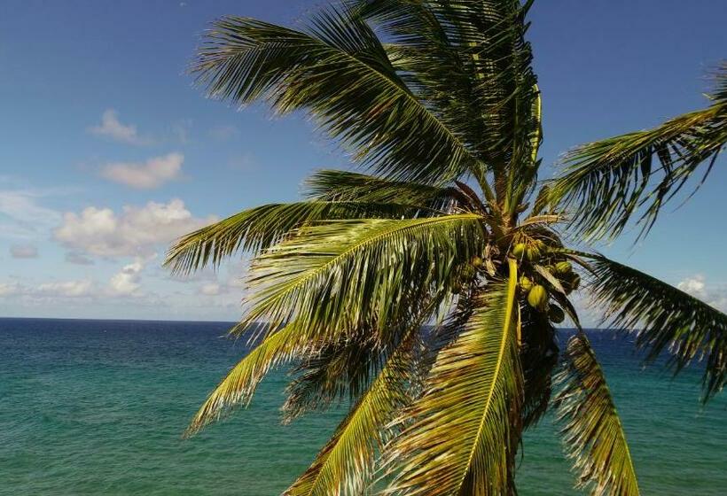 호텔 Viaja Con Ganas Colibri