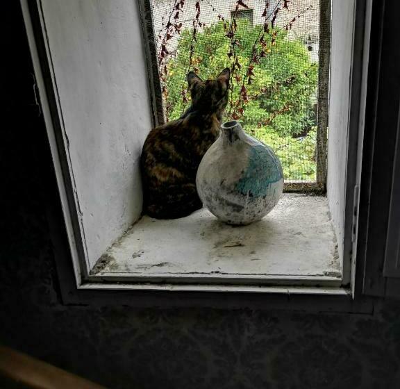 Pensionat Experience Unique Dans Un Lieu Magique