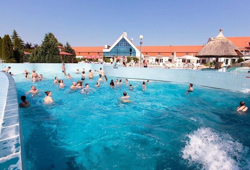 住宿加早餐 Demizson Panzio