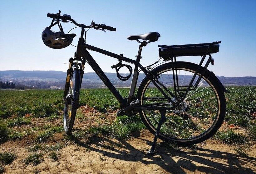 ベッドアンドブレックファースト Demizson Panzio