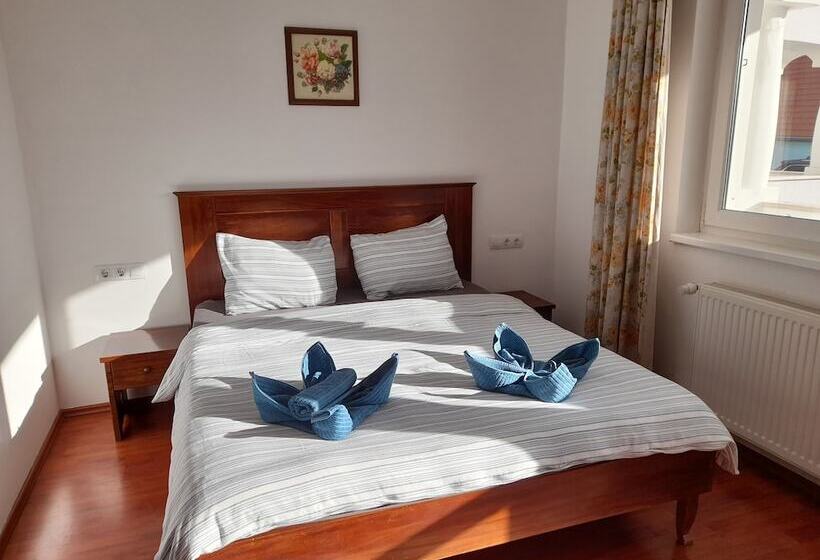 住宿加早餐 Demizson Panzio