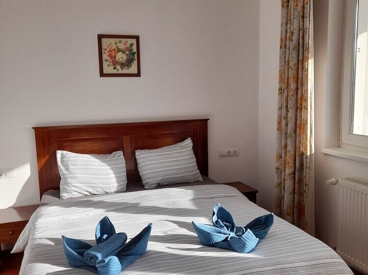 住宿加早餐 Demizson Panzio