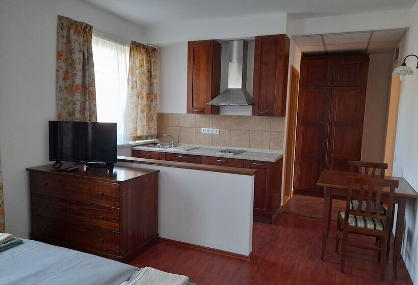 住宿加早餐 Demizson Panzio