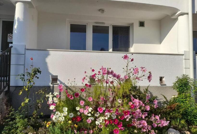 住宿加早餐 Demizson Panzio