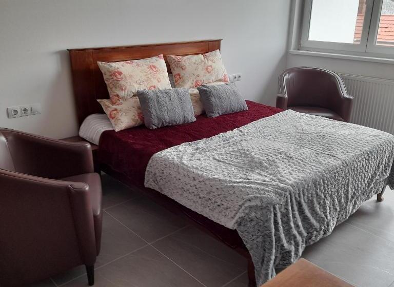 住宿加早餐 Demizson Panzio