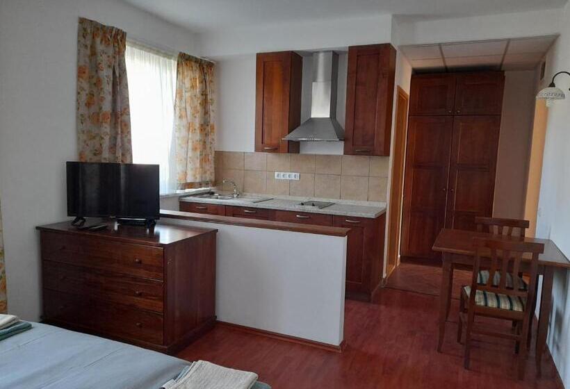 住宿加早餐 Demizson Panzio