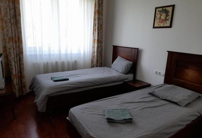 住宿加早餐  Demizson Panzio