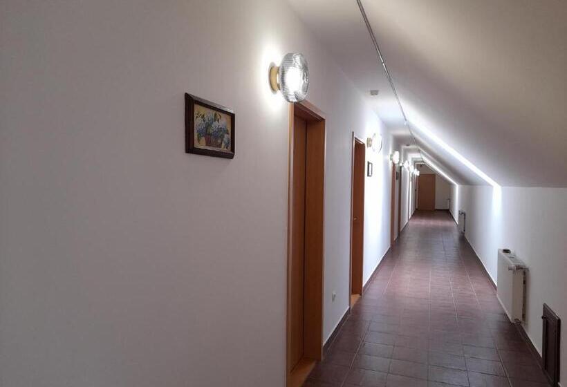 住宿加早餐 Demizson Panzio