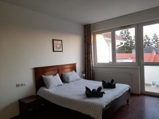 住宿加早餐 Demizson Panzio