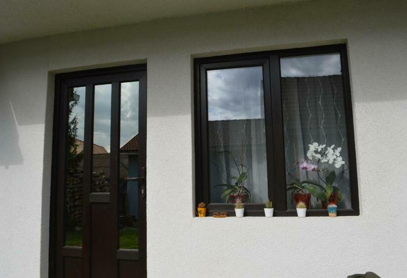 Bed and Breakfast Havasi Gyopár