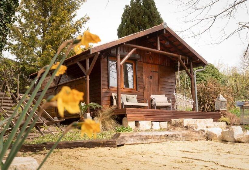 Bed and Breakfast Les Glycines De Monchy  Chambres D Hôtes