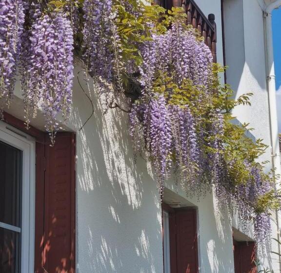 Bed and Breakfast Les Glycines De Monchy  Chambres D Hôtes