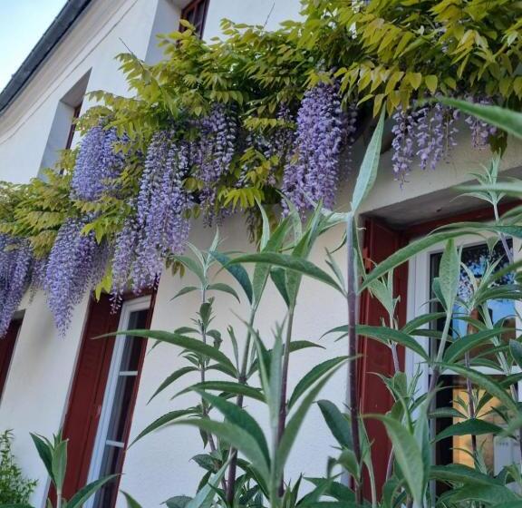 Bed and Breakfast Les Glycines De Monchy  Chambres D Hôtes