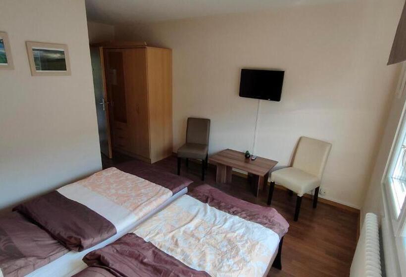 تختخواب و صبحانه Pension Sauerland