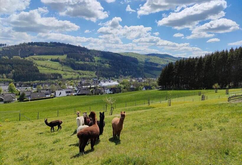 住宿加早餐  Pension Sauerland