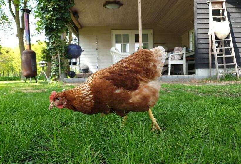 Bed And Breakfast Warm Welkom