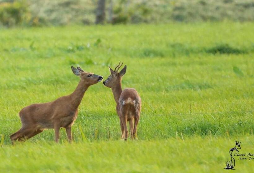 Bed And Breakfast Warm Welkom