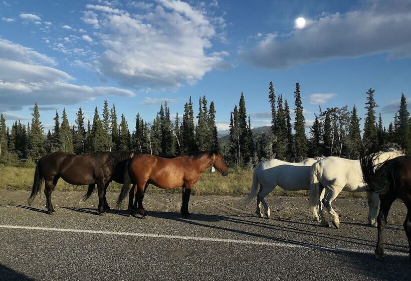 Cozy Corner Motel & Restaurant
