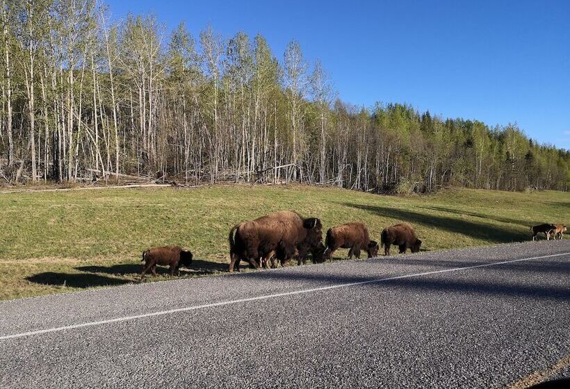 Cozy Corner Motel & Restaurant