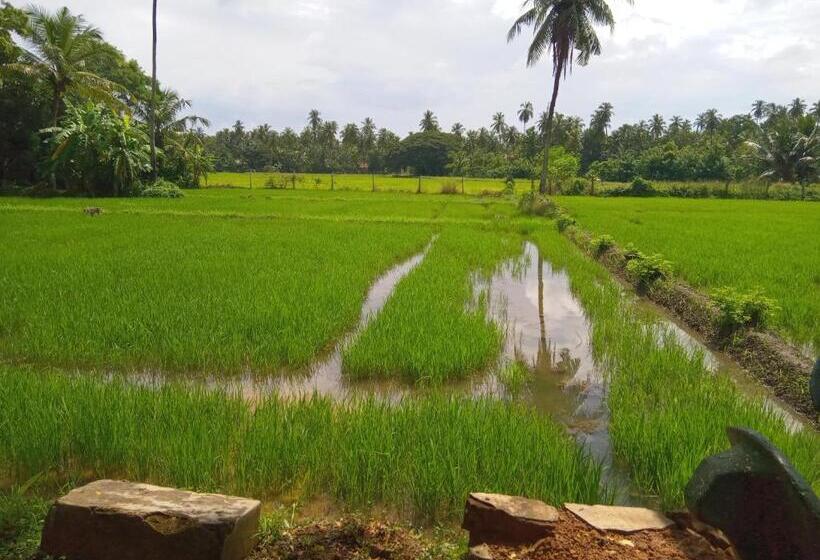 酒店 Coconut Island Yala