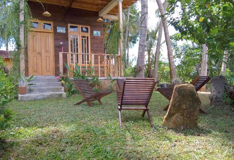 酒店 Coconut Island Yala