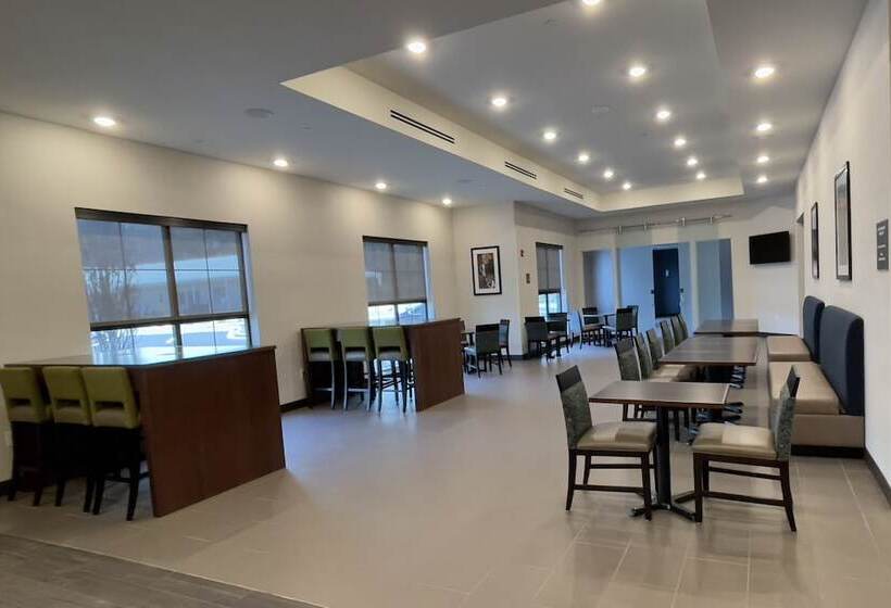 فندق Comfort Suites