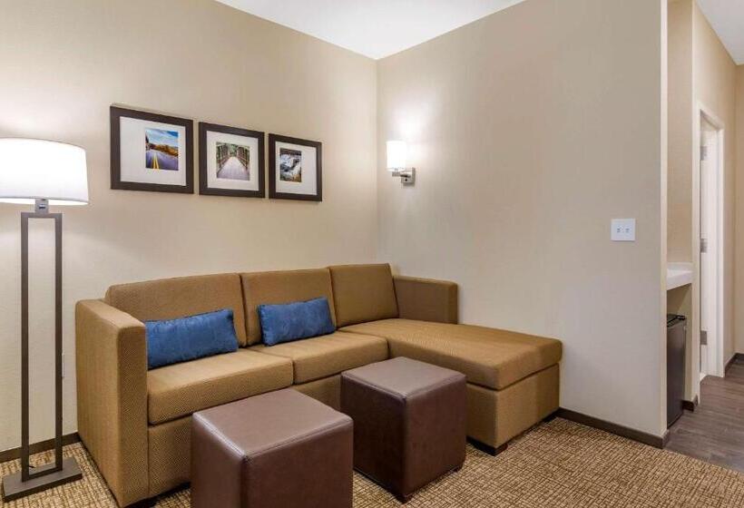 فندق Comfort Suites