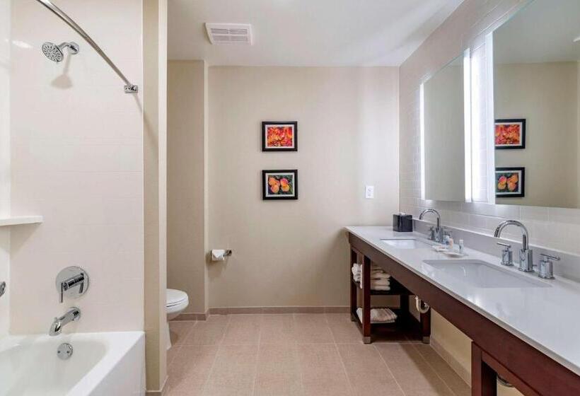 فندق Comfort Suites