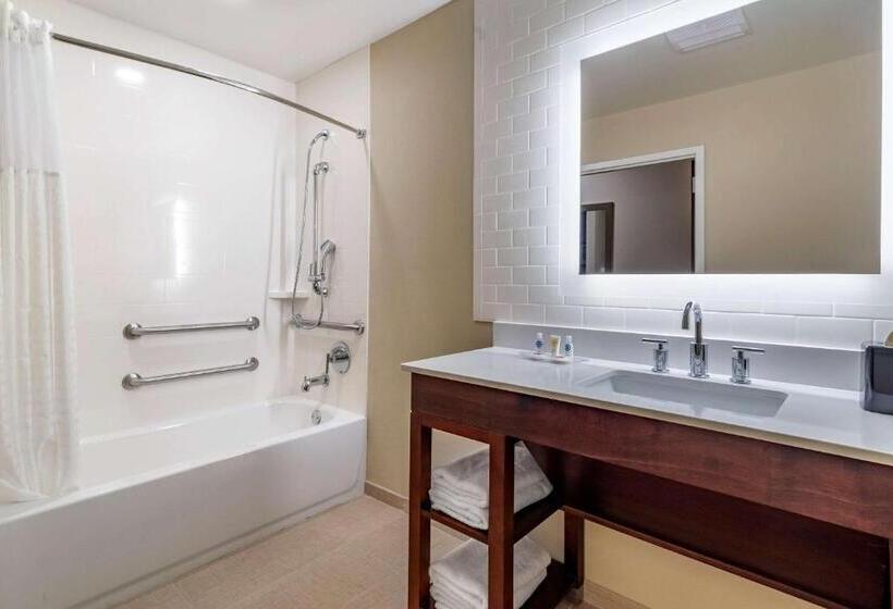 فندق Comfort Suites