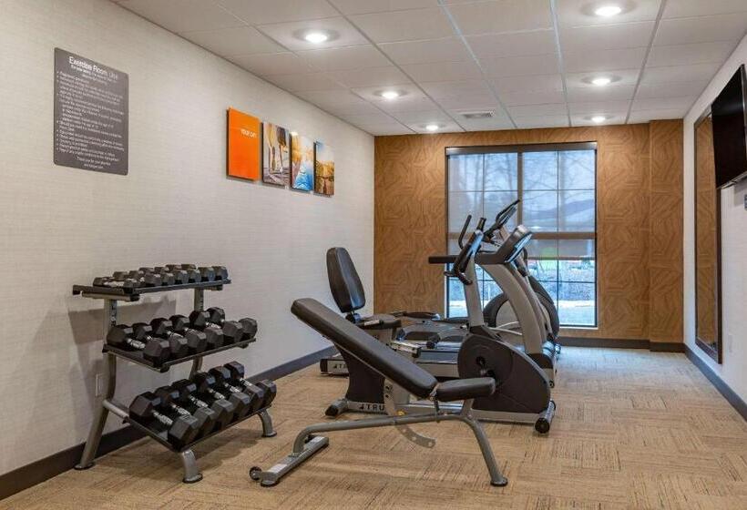 فندق Comfort Suites