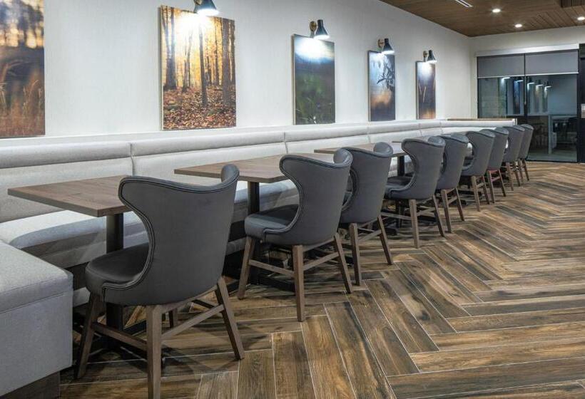 酒店 Fairfield By Marriott Inn & Suites Corinth South Denton Area