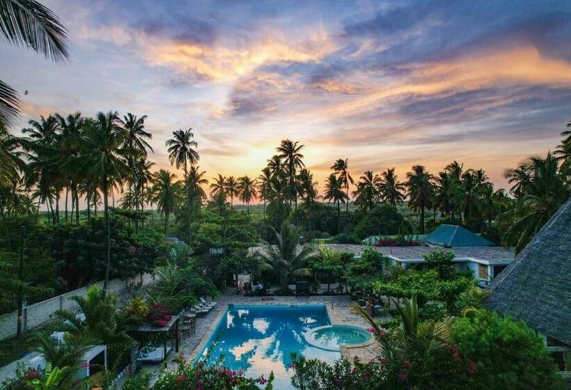 فندق Tropical Oasis Boutique