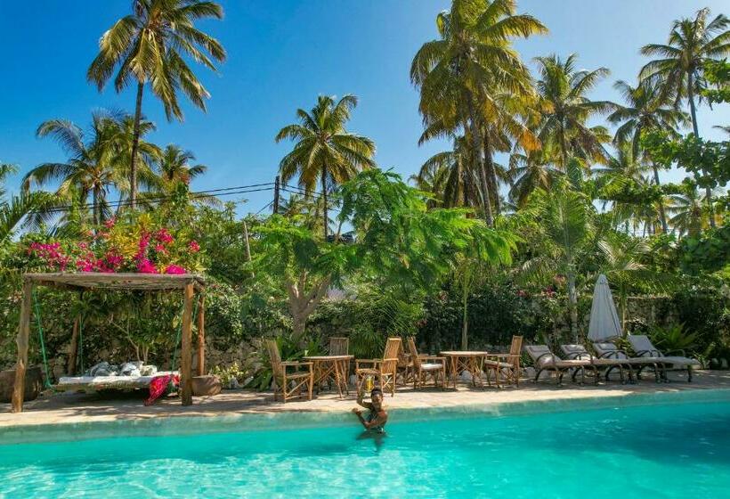 فندق Tropical Oasis Boutique