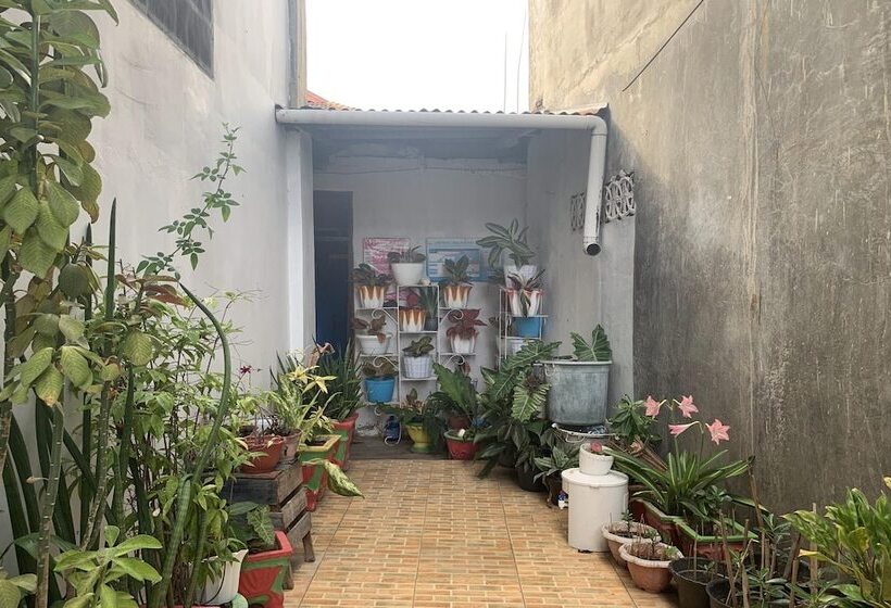 בית מלון כפרי Homestay Awal Fajar Syariah Bulukumba