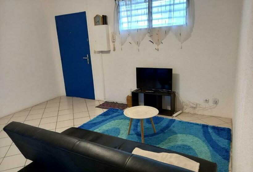 Magnifique T2 Meublé Avec Piscine