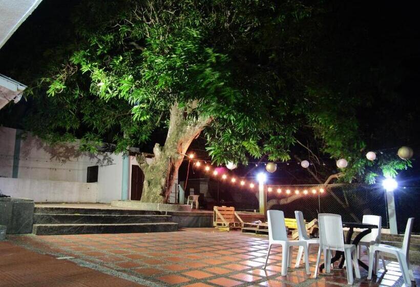 بنسيون Queen Elizabeth Natural Luxury