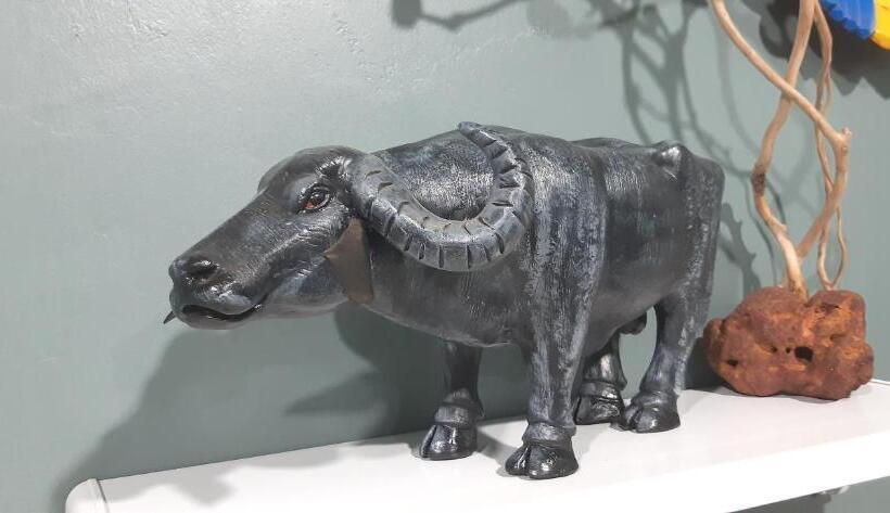 بنسيون Hostel E Pousada Chez Luisa   Salvaterra   Marajó