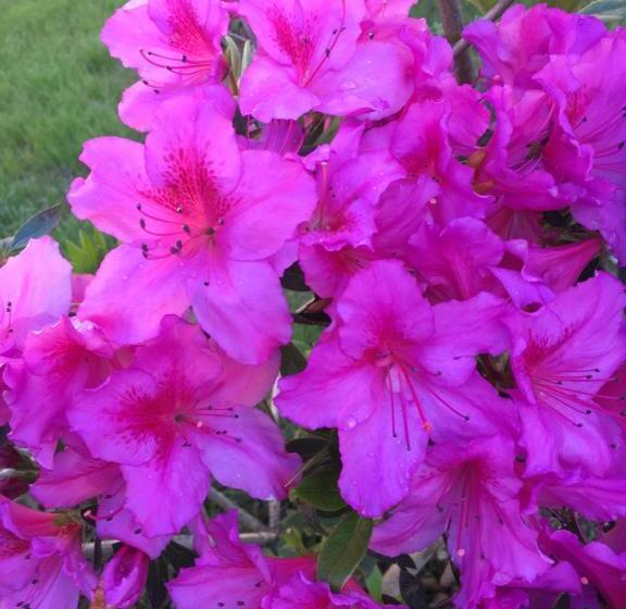 بنسيون Les 3 Bérets Chambres D Hotes