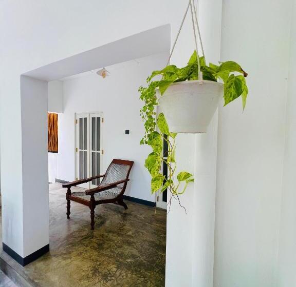 Пансион Mahagedara Dickwella