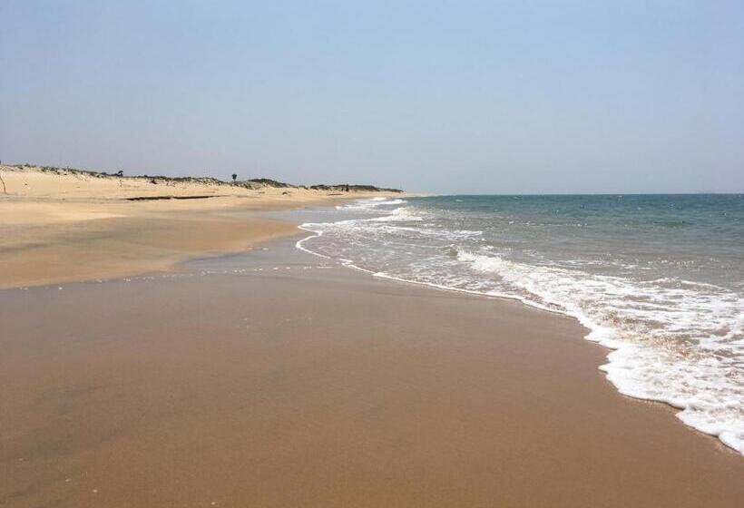 펜션 Plastic Bottle House   Dune Towers