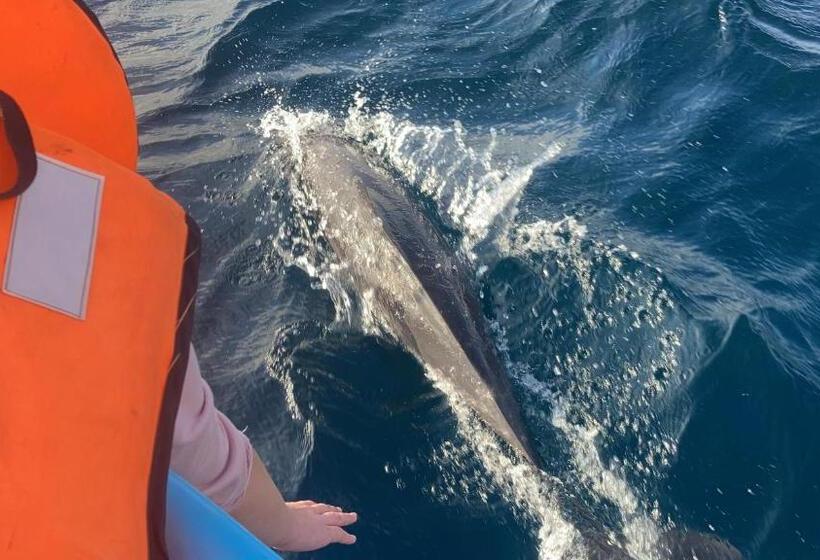 펜션 Plastic Bottle House   Dune Towers