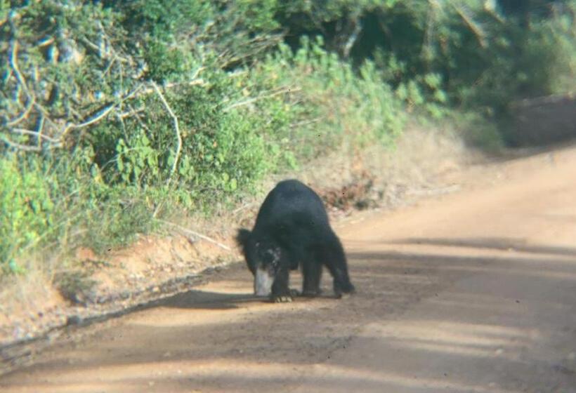 膳宿费 Plastic Bottle House   Dune Towers