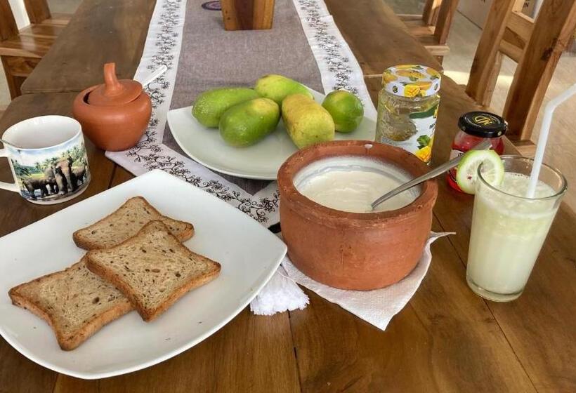 膳宿费 Plastic Bottle House   Dune Towers