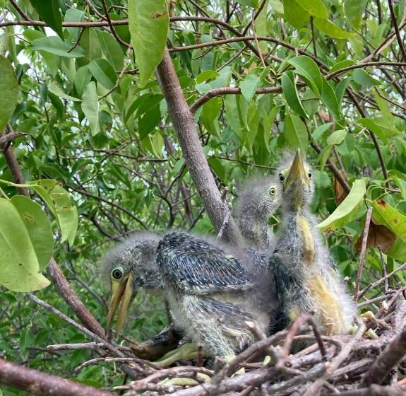 膳宿费 Plastic Bottle House   Dune Towers