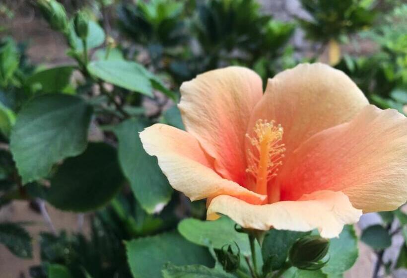 펜션 Plastic Bottle House   Dune Towers