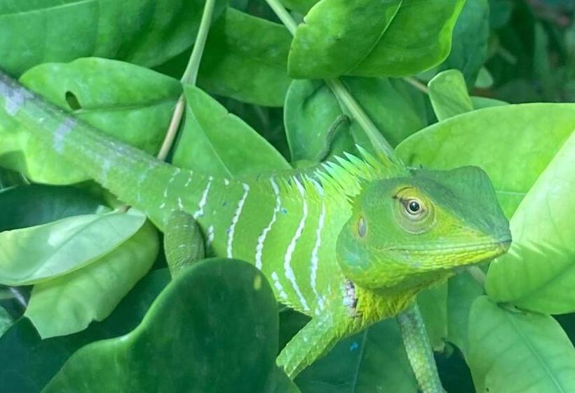 膳宿费 Plastic Bottle House   Dune Towers