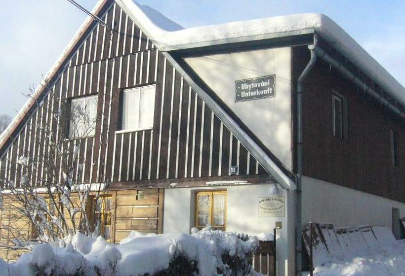 پانسیون Ubytování 113