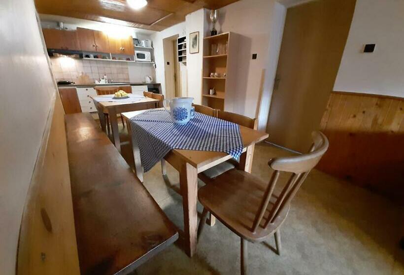 Пансион Ubytování 113