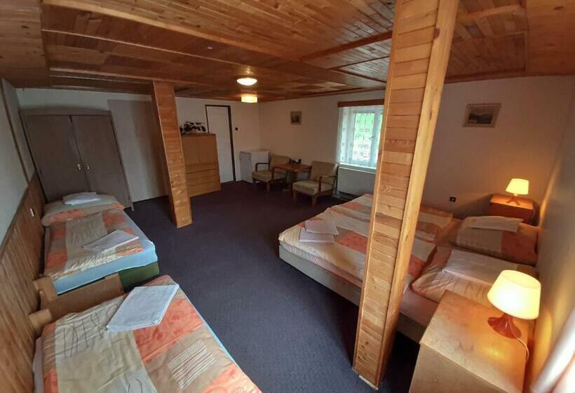 Пансион Ubytování 113